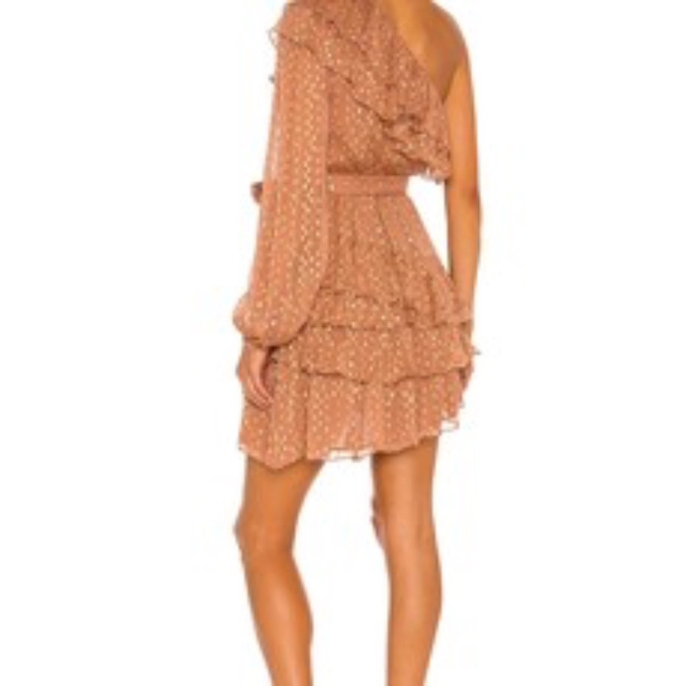 NWT Rococo Sand One Shoulder Ruffle Dress - Picture 3 of 4